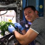 تاثیر موسیقی برای رشد گیاهان در آزمایش های فضایی
